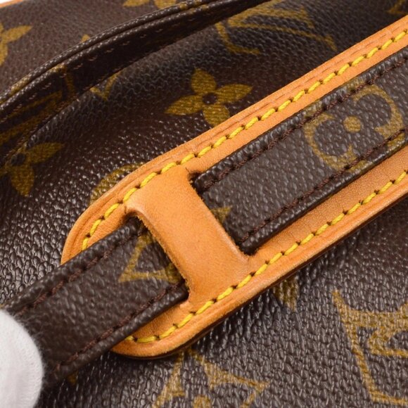 Louis Vuitton Monogram Amazon Crossbody Bag - Picture 4 of 12